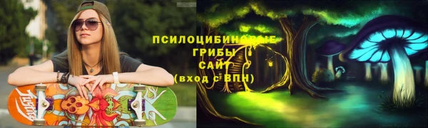 твердый Липки
