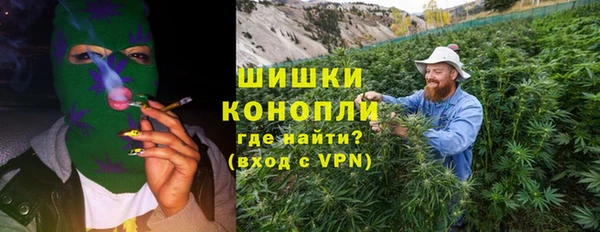 прущие грибы Кулебаки