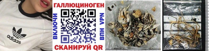 Галлюциногенные грибы Cubensis Томари